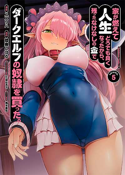 Portada de Ie ga Moete Jinsei Dou Demo Yoku Natta kara, Nokotta Nakenashi no Kin de Dark Elf no Dorei o Katta.