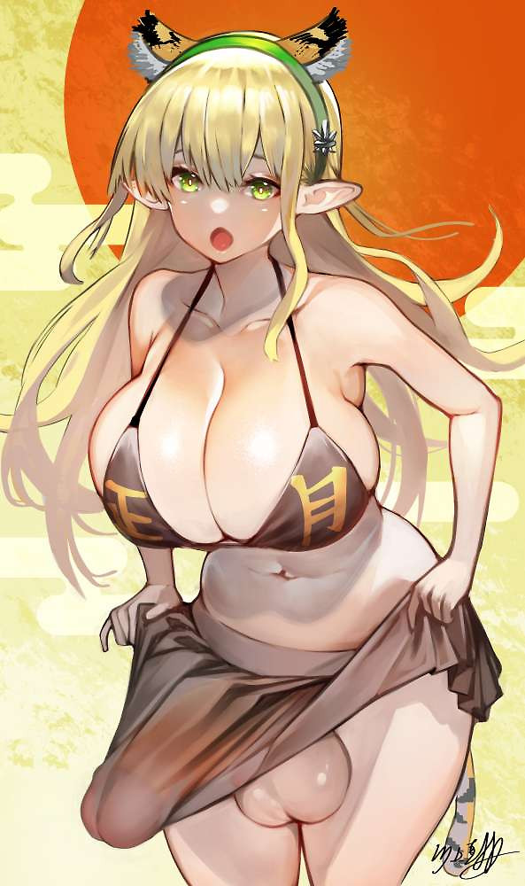 Portada de Futanari No Elf