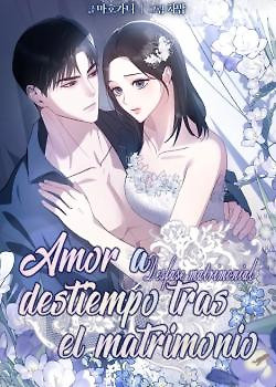 Portada de Amor a destiempo tras el matrimonio